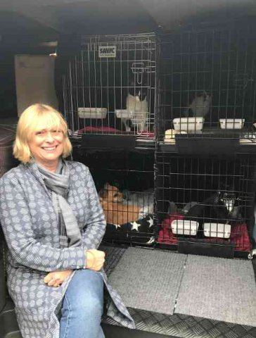 Nicky with Buster, Jameela and Meleeka, on their way from Campoverde in Alicante to Bovingdon, Herts, in UK.